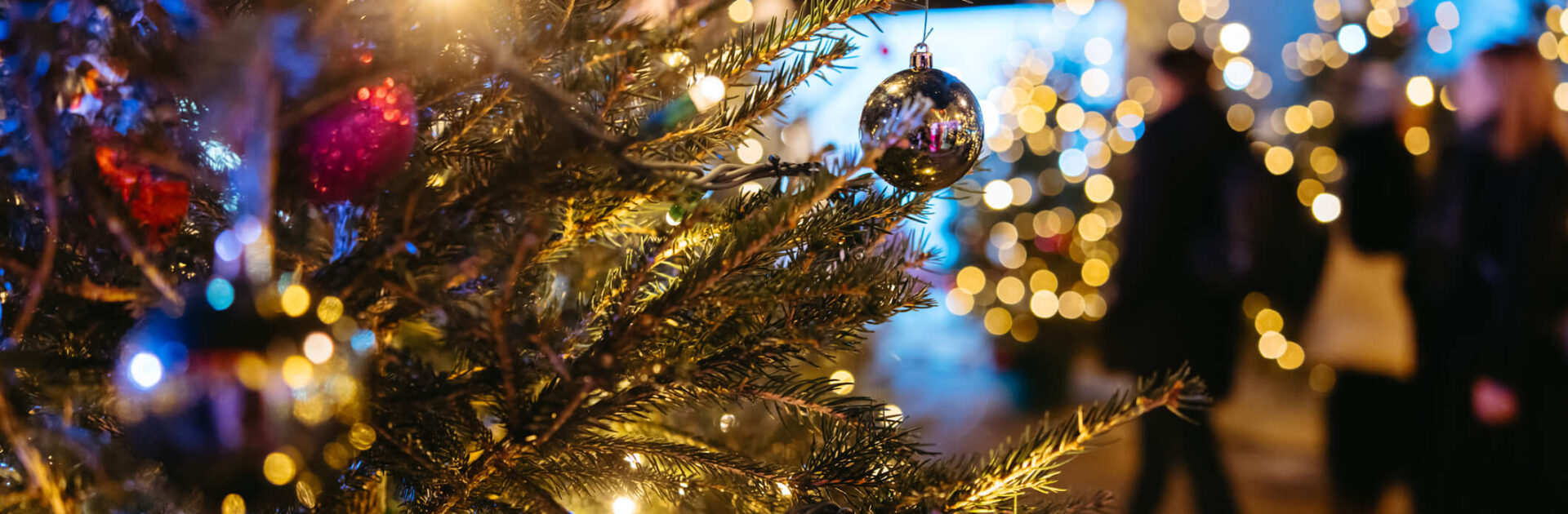 Christmas in Porec Croatia