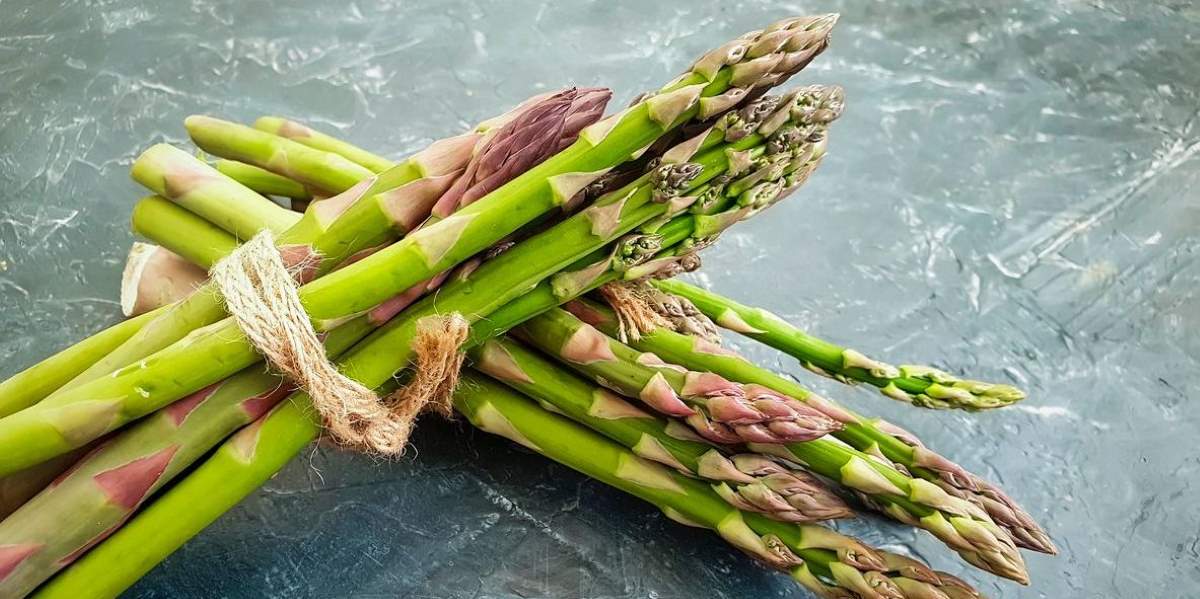 Istrian-Aspargus-Festival